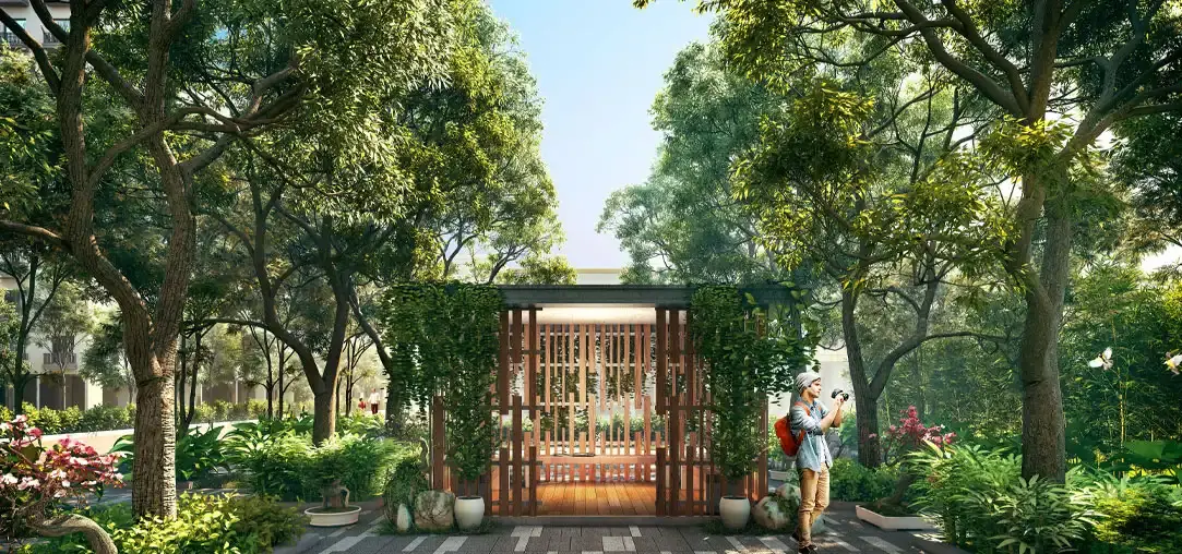 Gems Bougainvillas